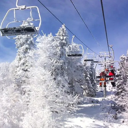 度假居 Maison De - La Sauvetat (Puy-de-Dome)